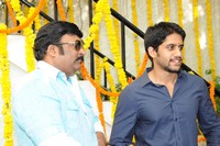 Naga Chaitanya Sunil Movie Opening